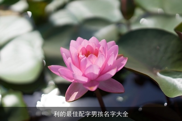 利的最佳配字男孩名字大全