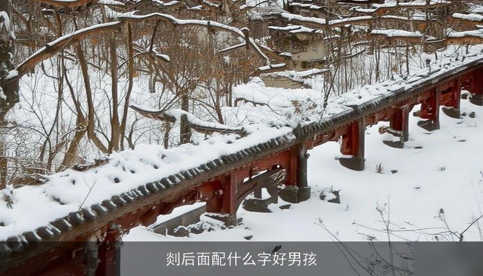 剡后面配什么字好男孩