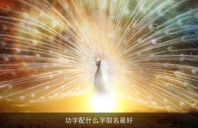 功字配什么字取名最好