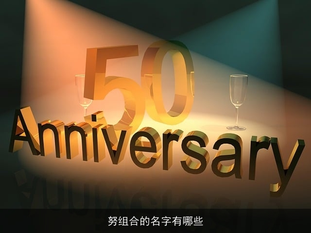 努组合的名字有哪些