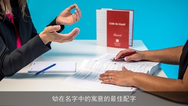 劬在名字中的寓意的最佳配字