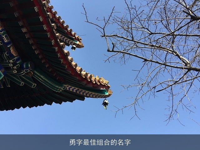 勇字最佳组合的名字
