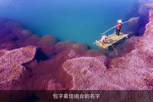 包字最佳组合的名字