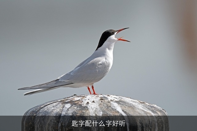 匙字配什么字好听