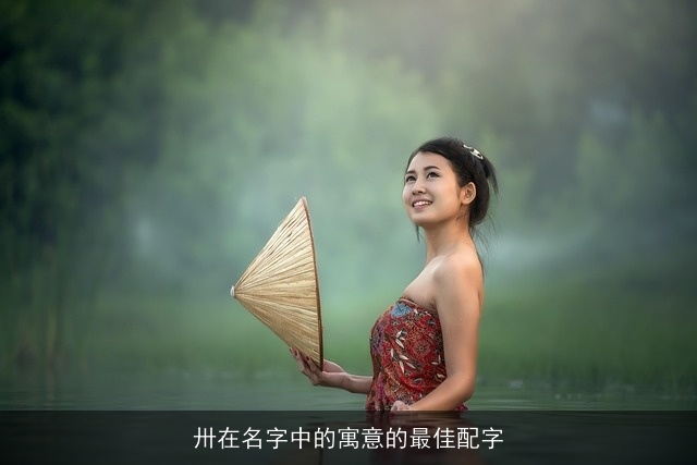 卅在名字中的寓意的最佳配字