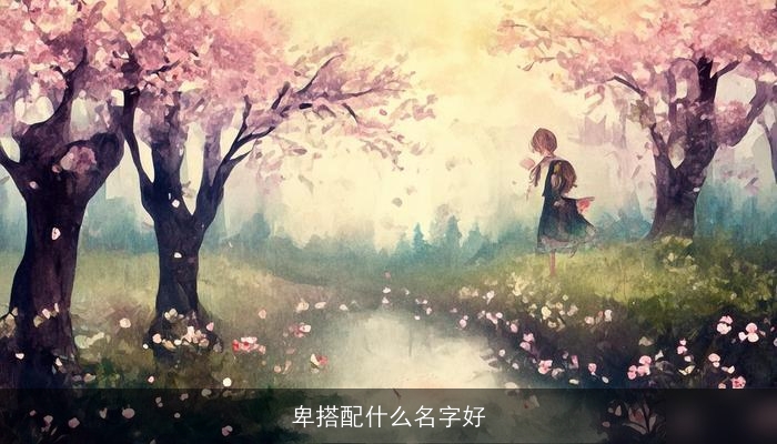 卑搭配什么名字好