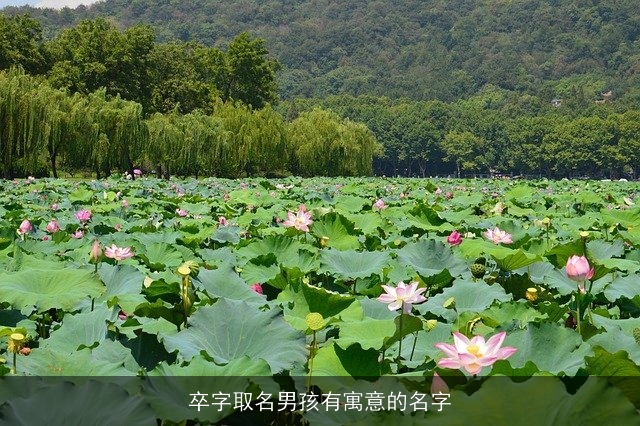 卒字取名男孩有寓意的名字