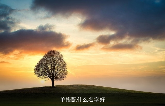 单搭配什么名字好