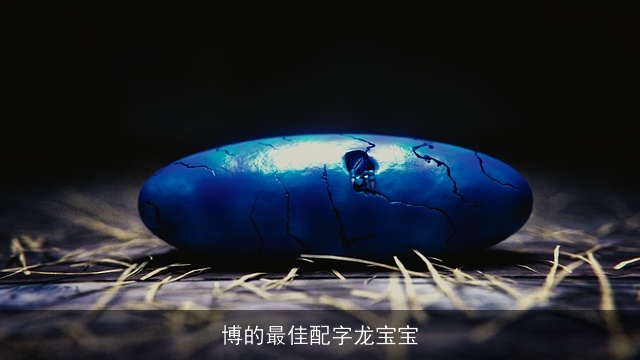 博的最佳配字龙宝宝