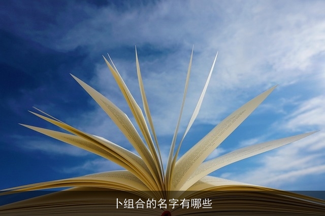 卜组合的名字有哪些