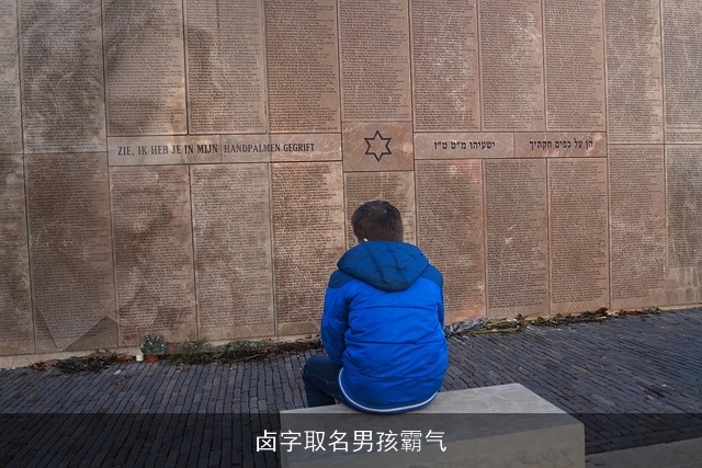 卤字取名男孩霸气