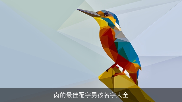 卤的最佳配字男孩名字大全