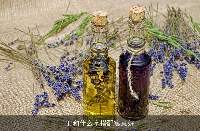 卫和什么字搭配寓意好