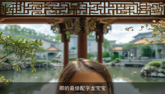 卿的最佳配字龙宝宝