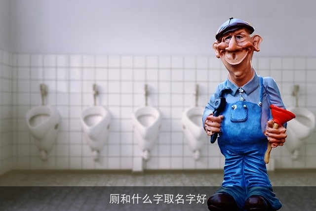 厕和什么字取名字好