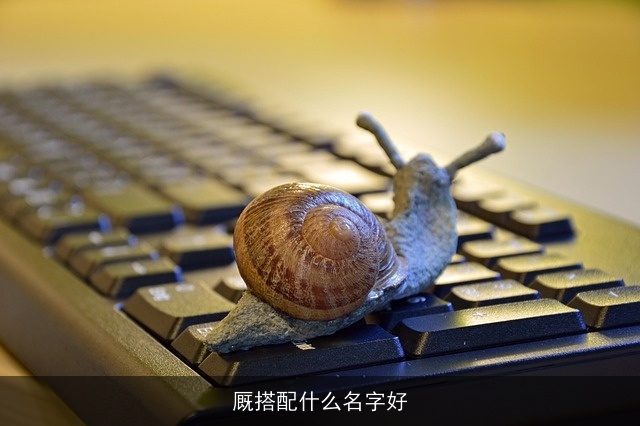 厩搭配什么名字好