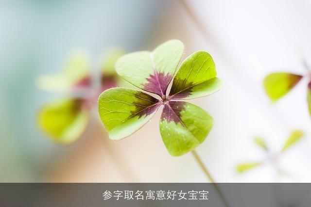 参字取名寓意好女宝宝