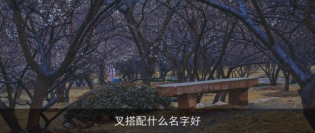 叉搭配什么名字好