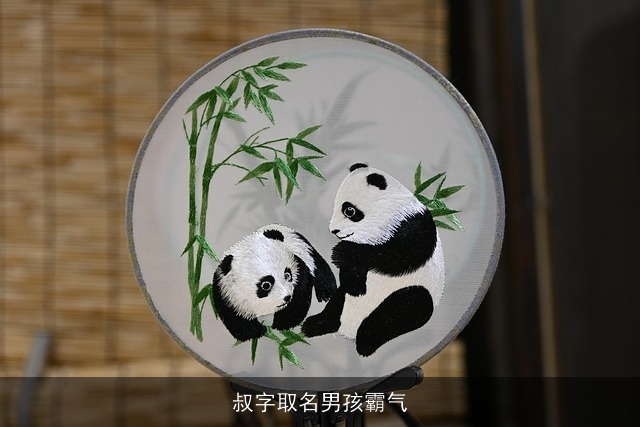叔字取名男孩霸气