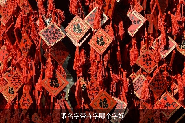 取名字带卉字哪个字好