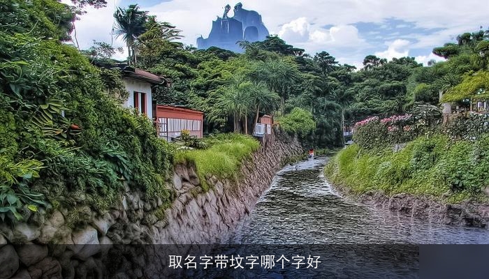 取名字带坟字哪个字好