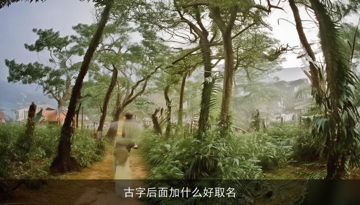 古字后面加什么好取名