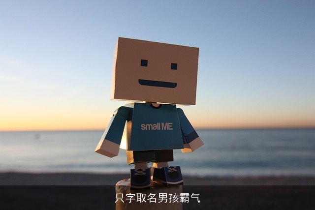 只字取名男孩霸气