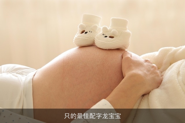 只的最佳配字龙宝宝