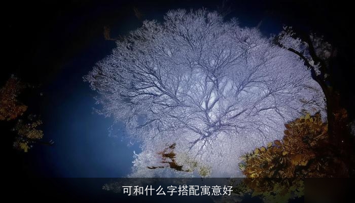 可和什么字搭配寓意好