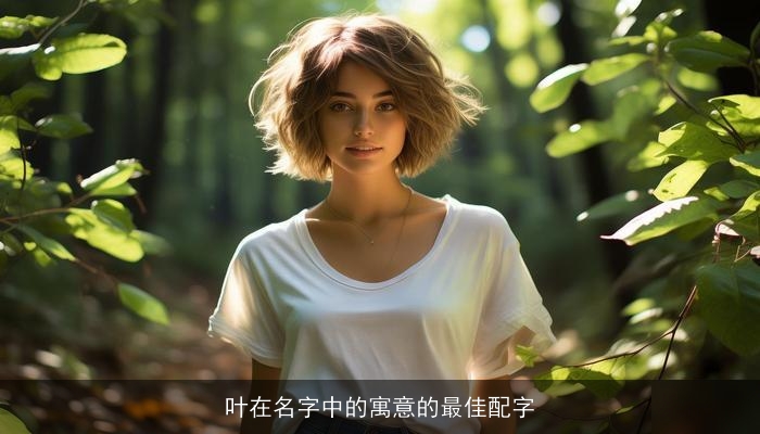 叶在名字中的寓意的最佳配字