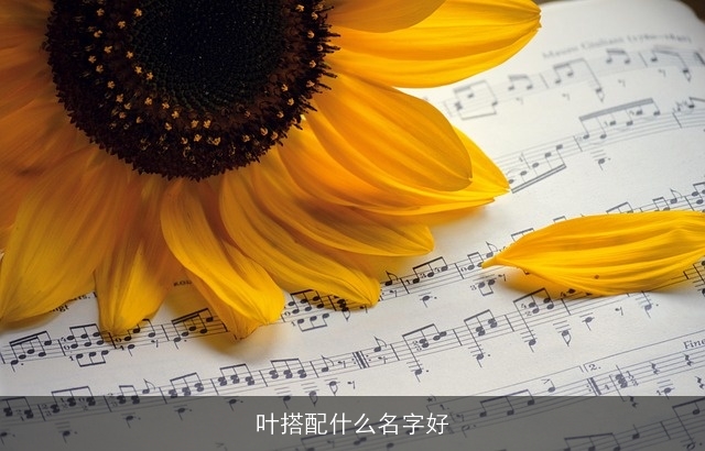 叶搭配什么名字好