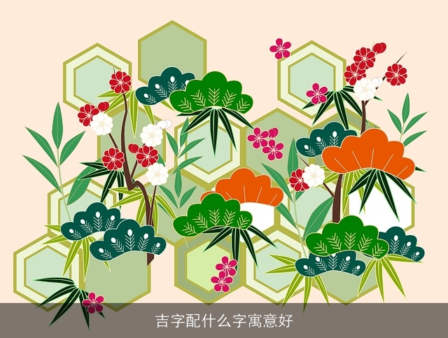 吉字配什么字寓意好