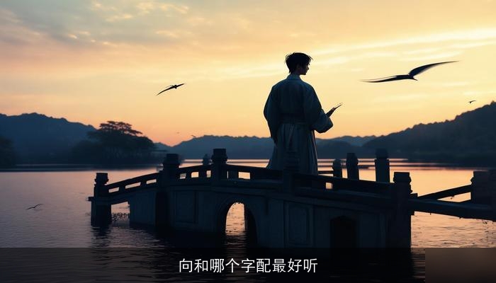 向和哪个字配最好听