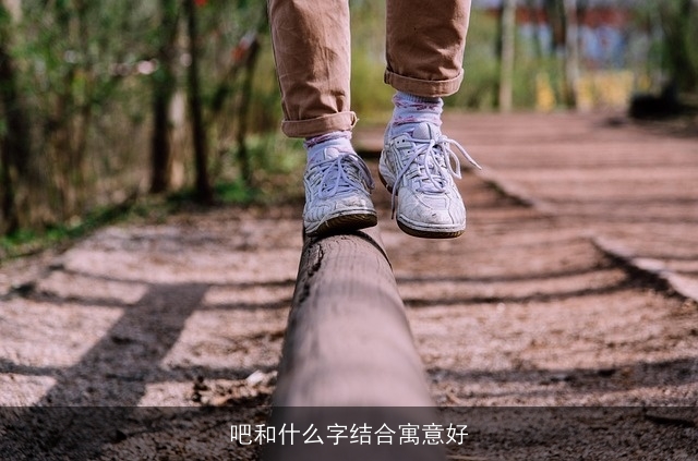吧和什么字结合寓意好