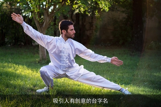 吸引人有创意的台字名