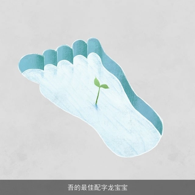 吾的最佳配字龙宝宝