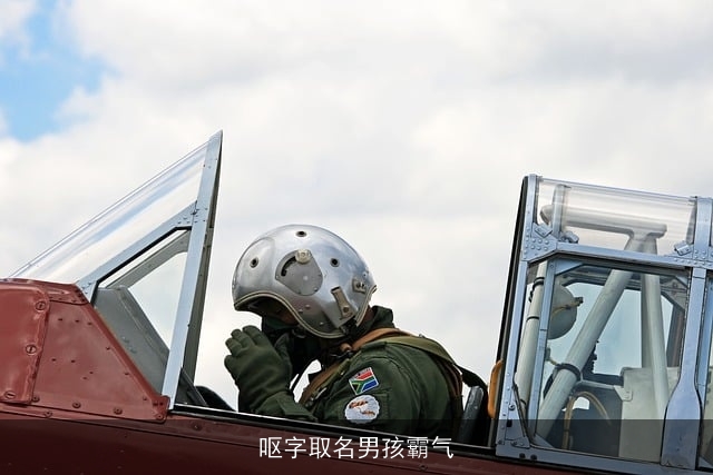 呕字取名男孩霸气