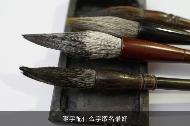 呕字配什么字取名最好