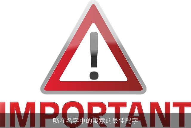 呖在名字中的寓意的最佳配字
