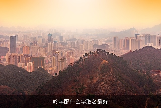 呤字配什么字取名最好