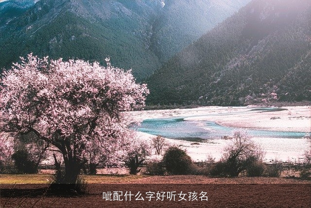 呲配什么字好听女孩名