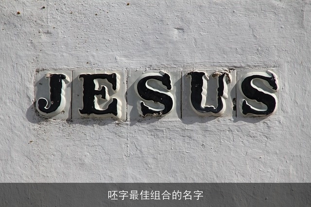 呸字最佳组合的名字