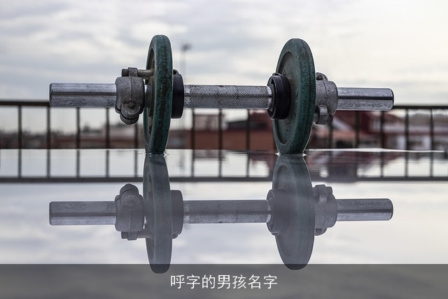 呼字的男孩名字