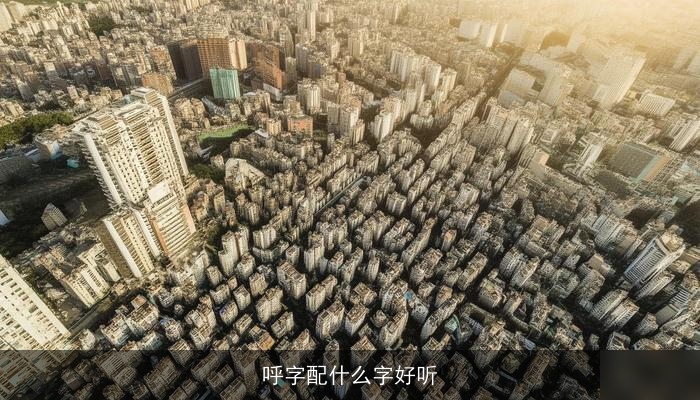 呼字配什么字好听
