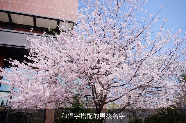 和倡字搭配的男孩名字