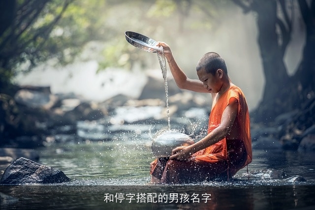和停字搭配的男孩名字
