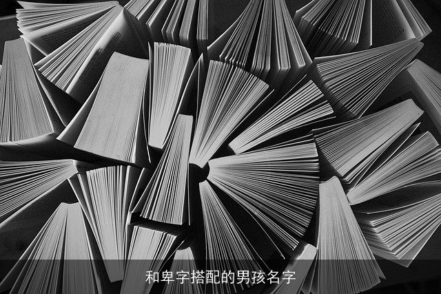 和卑字搭配的男孩名字