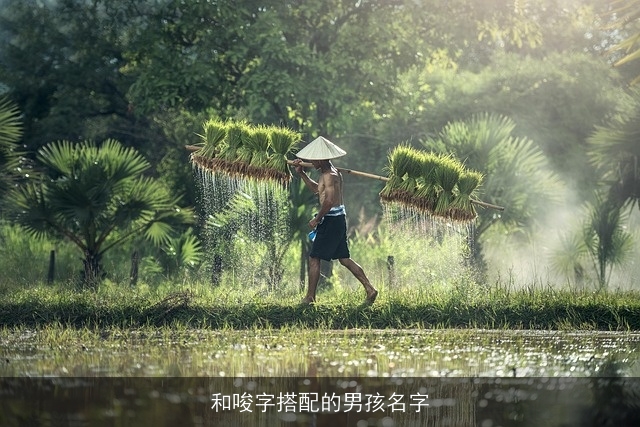 和唆字搭配的男孩名字