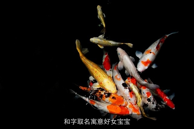 和字取名寓意好女宝宝