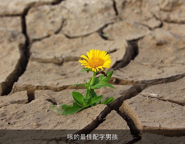 咳的最佳配字男孩